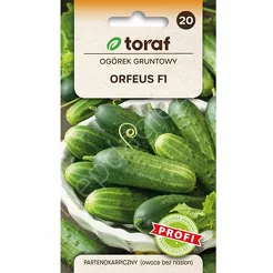 Ogórek Orfeus 2g T  