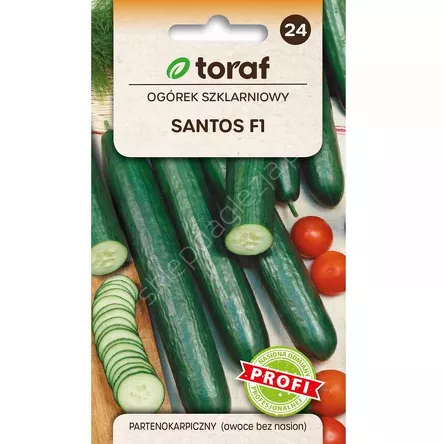 Ogórek Santos 1gT
