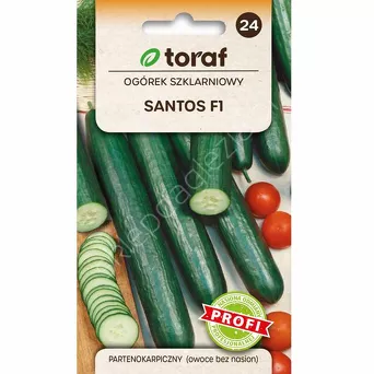 Ogórek Santos 1gT