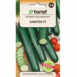 Ogórek Santos 1gT
