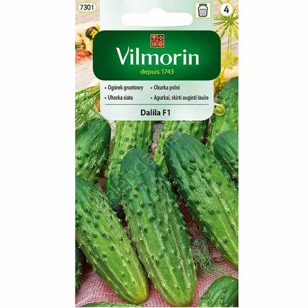 Ogóre DALLLIA F1 grunt  3g  V