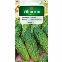 Ogóre DALLLIA F1 grunt  3g  V