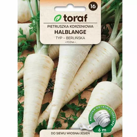 Pietruszka Halblange-Berlińska Taśma 6m T