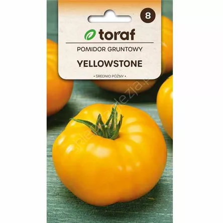 Pomidor gruntowy Yellowstone  0,3g T