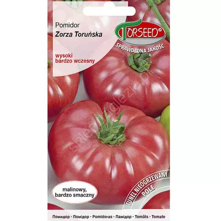 Pomidor Zorza Toruńska 0,5g wysoki Torseed