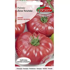 Pomidor Zorza Toruńska 0,5g wysoki To