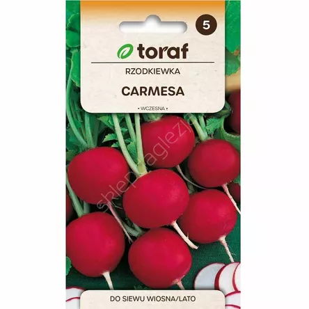 Rzodkiewka Carmesa 10g T