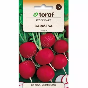 Rzodkiewka Carmesa 10g T 