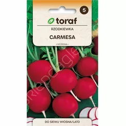 Rzodkiewka Carmesa 10g T 