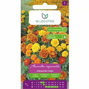 Aksamitka rozp mix 1g L