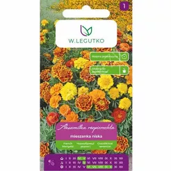 Aksamitka rozp mix 1g L