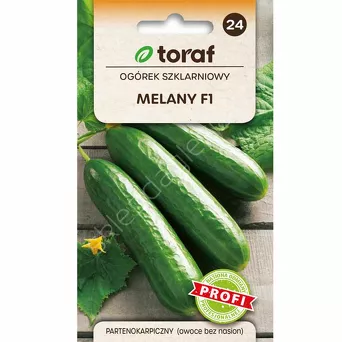 Ogórek Melany 1gT