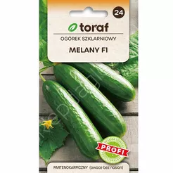 Ogórek Melany 1gT
