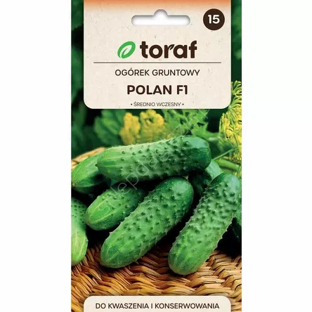 Ogórek Polan F1 5g T