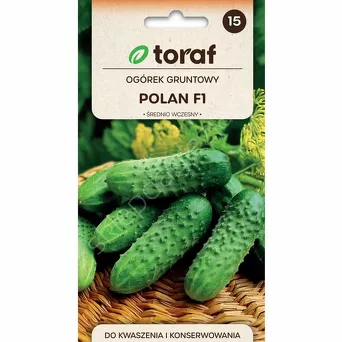 Ogórek Polan F1 5g T
