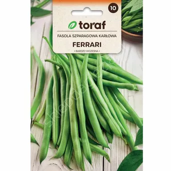 Fasola szparagowa zielona Ferrari  karłowa 30g T