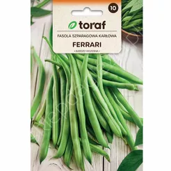 Fasola szparagowa zielona Ferrari  karłowa 30g T