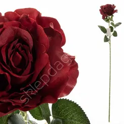 Róża pojedyńcza czerwona 76cm