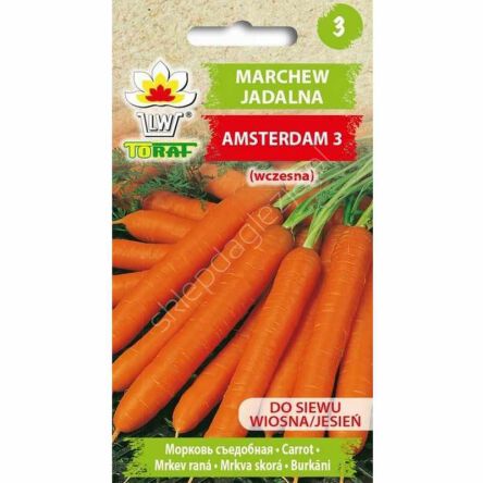 Marchew Amsterdam 3 5g Toraf