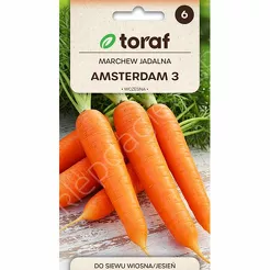 Marchew Amsterdam 3 5g T 