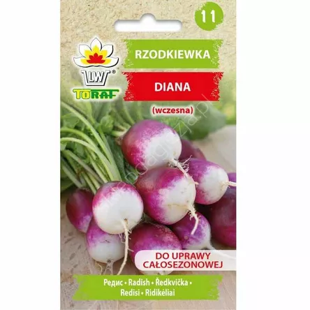 Rzodkiewka Diana 5g T
