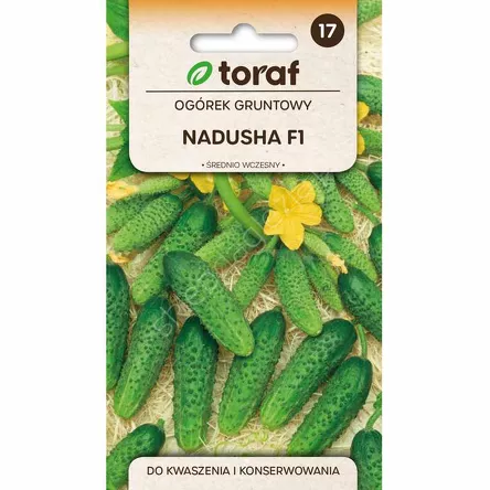 Ogórek Nadusha F1 1g T