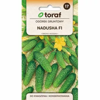 Ogórek Nadusha F1 1g T 