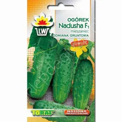 Ogórek Nadusha F1 1g T 