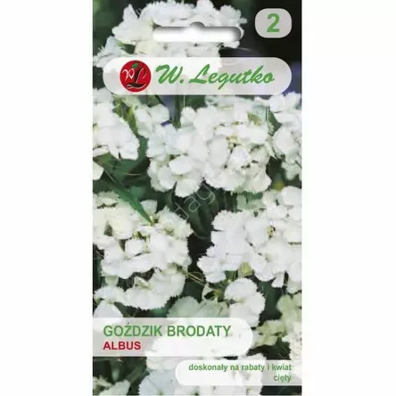 Goździk brodaty wys. Albus biały poj. 0,5g L