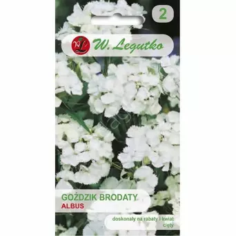Goździk brodaty wys. Albus biały poj. 0,5g L