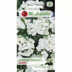Goździk brodaty wys. Albus biały poj. 0,5g L