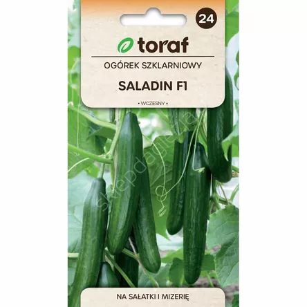 Ogórek Saladin 1gT