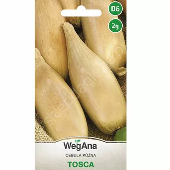 Cebula Toska 2g W