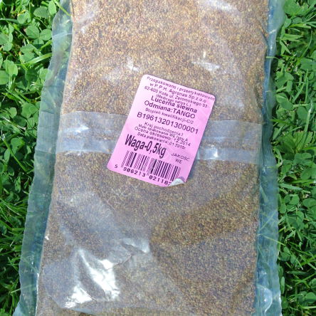Lucerna siewna 0,5kg Agro