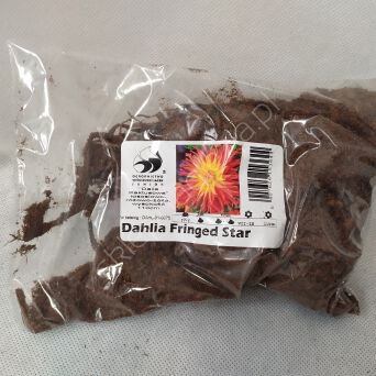 Dalia zestaw 275 Dalia Apricot Star W