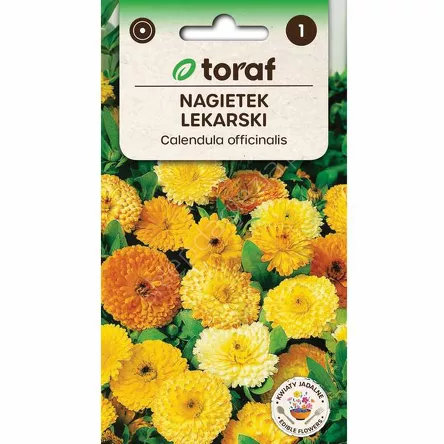 Nagietek lekarski 1g T