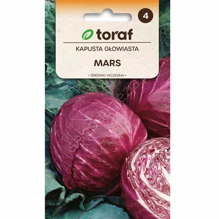 Kapusta czerwona Mars 1g T