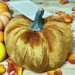 Dynia materiałowa złoto pomarańczowa 11cm