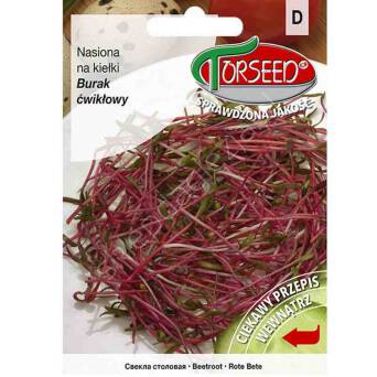 Nasiona na kiełki Burak liściowy Rhubarb Chard 10g