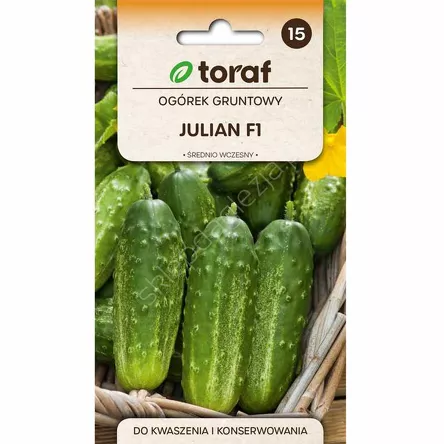 Ogórek Julian F1 5g T