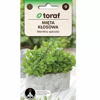 Mięta Kłosowa zielona 0,1g T