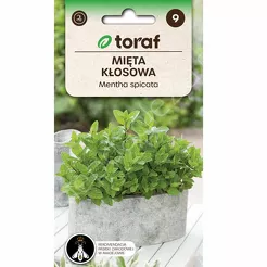 Mięta Kłosowa zielona 0,1g T