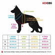 Szelki KenDog Guard M Myszka Minnie