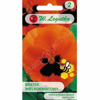 Bratek wielokwiatowy Orange mit Auge 0.3g  L