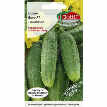 Ogórek Edyp 5g mieszaniec F1 To