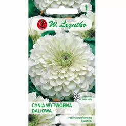Cynia daliowa Polar Bear biała 1g L