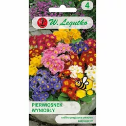 Pierwiosnek wyniosły mieszanka 0,3g  L