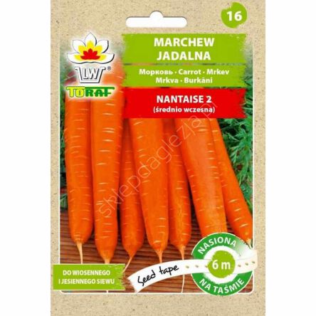 Marchew Nantese 2 Taśma 6m Toraf