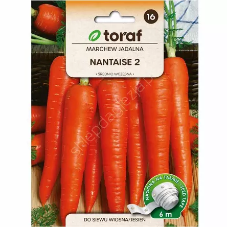 Marchew Nantese 2 Taśma 6m T