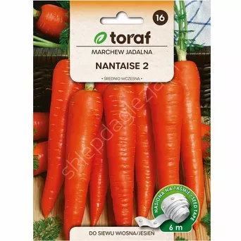 Marchew Nantese 2 Taśma 6m T 
